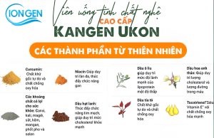 Viên Uống Tinh Dầu Nghệ Ukon Enagic Chính Hãng