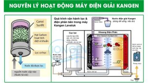 Lõi Lọc MW-7000HG Cho Máy Kangen SD501 Platinum, SD501, JRIV Chính Hãng