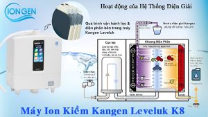 Máy Lọc Nước Ion Kiềm Kangen K8 Chính Hãng