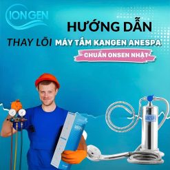 Thay Lõi Trong (Lõi Gốm) Anespa DX Chính Hãng Định Kỳ